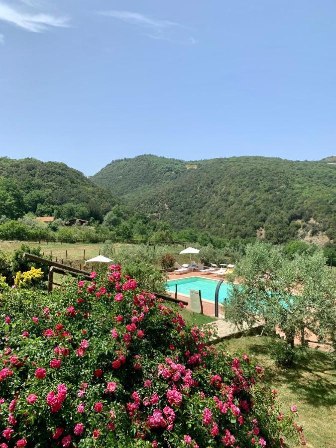 Podere Le Mulina Castiglione dʼOrcia Eksteriør billede